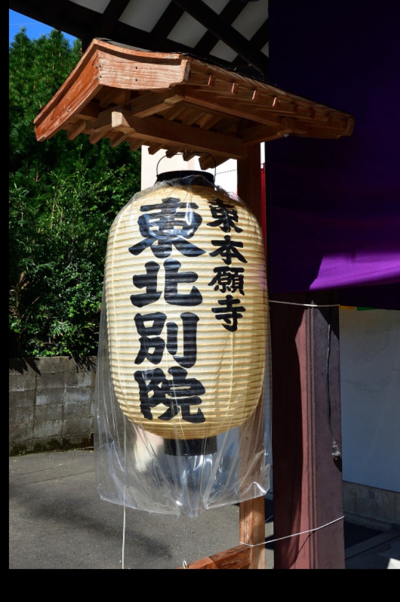 dsc_2178.jpg